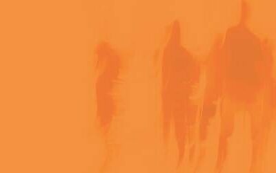 What Is an OMIG Search?